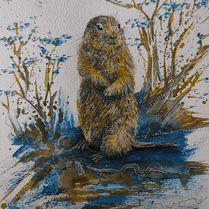 Watercolor Painting by Aya - Prairie Dog - SOLD OUT