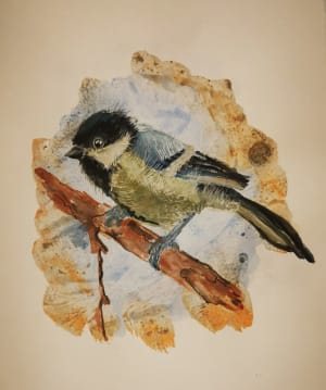 Anna Aya Stefanowicz Watercolour Bird