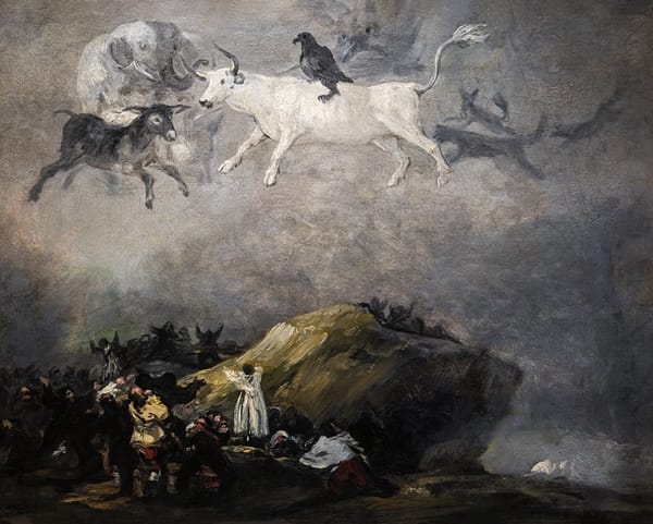 Caprice - Francisco de Goya 1818-1819 - Musée des Beaux-Arts d'Agen Canvas 60x75 cm / 24x30″