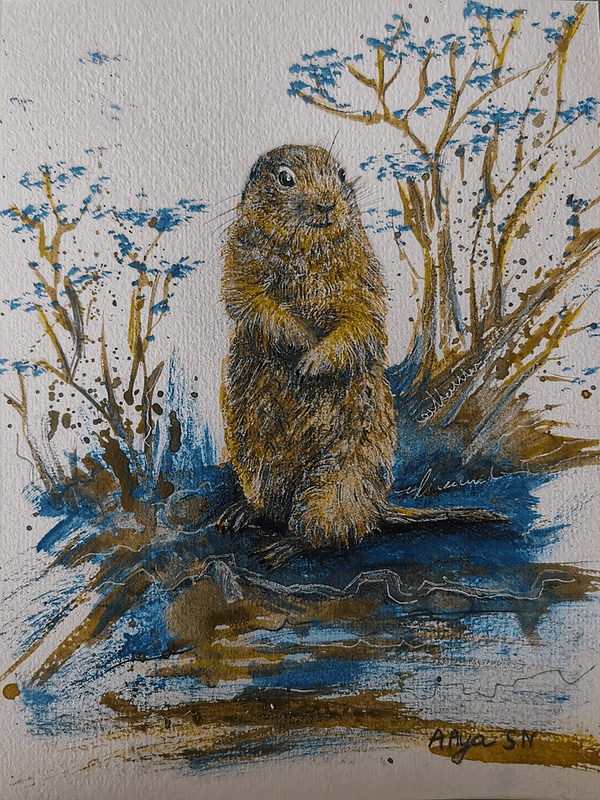 Watercolor Painting by Aya - Prairie Dog - SOLD OUT