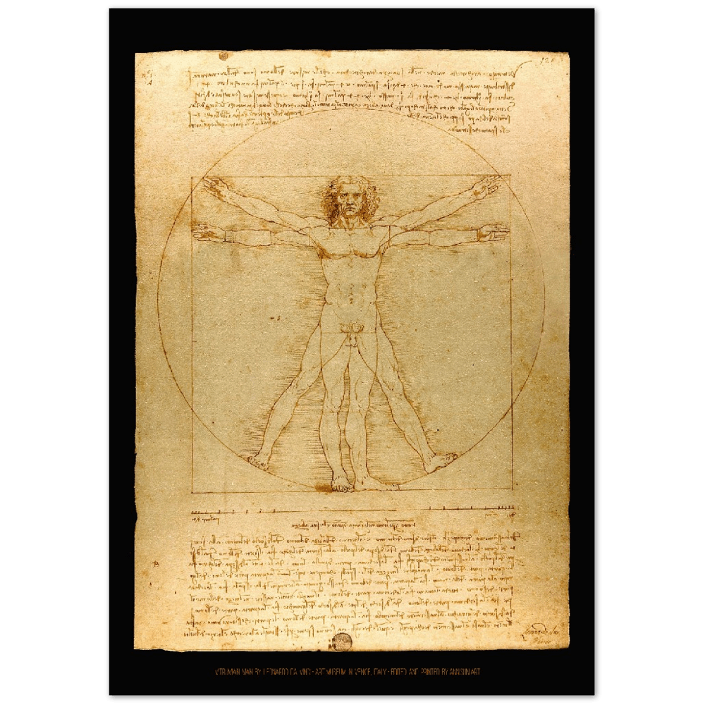 Vitruvian Man by Leonardo Da Vinci - Premium Matte Paper Poster