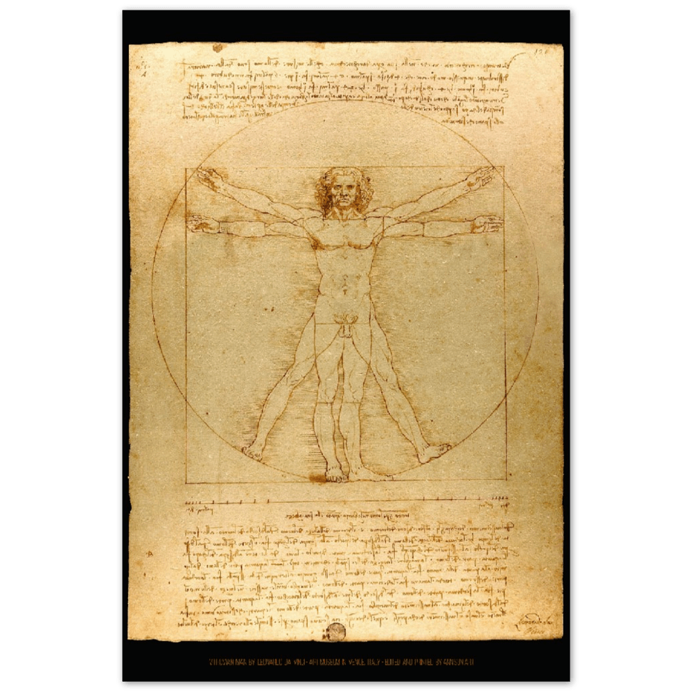 Vitruvian Man by Leonardo Da Vinci - Aluminum Print